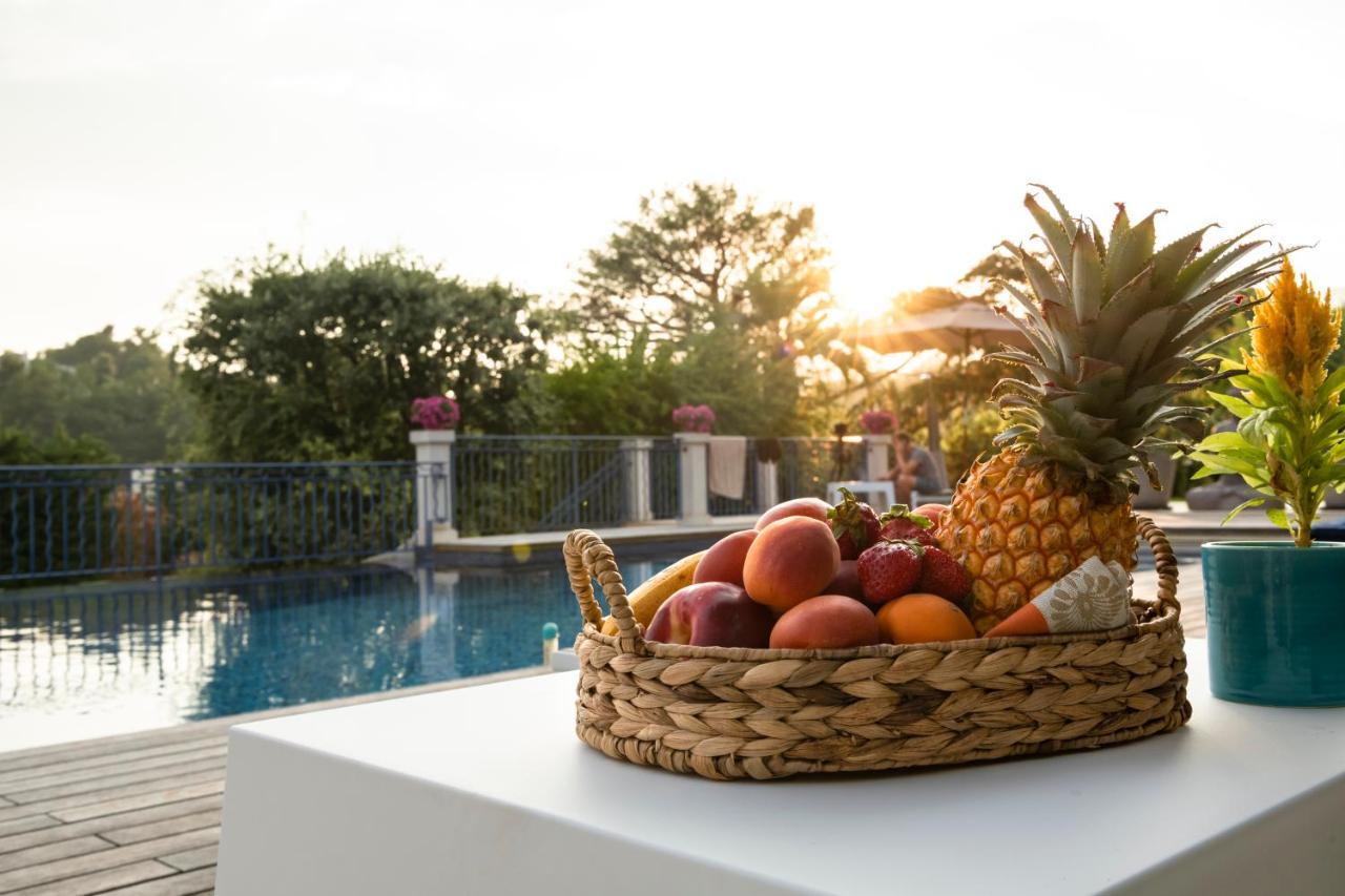 Terre De Reve Bed and Breakfast Le Rouret Εξωτερικό φωτογραφία